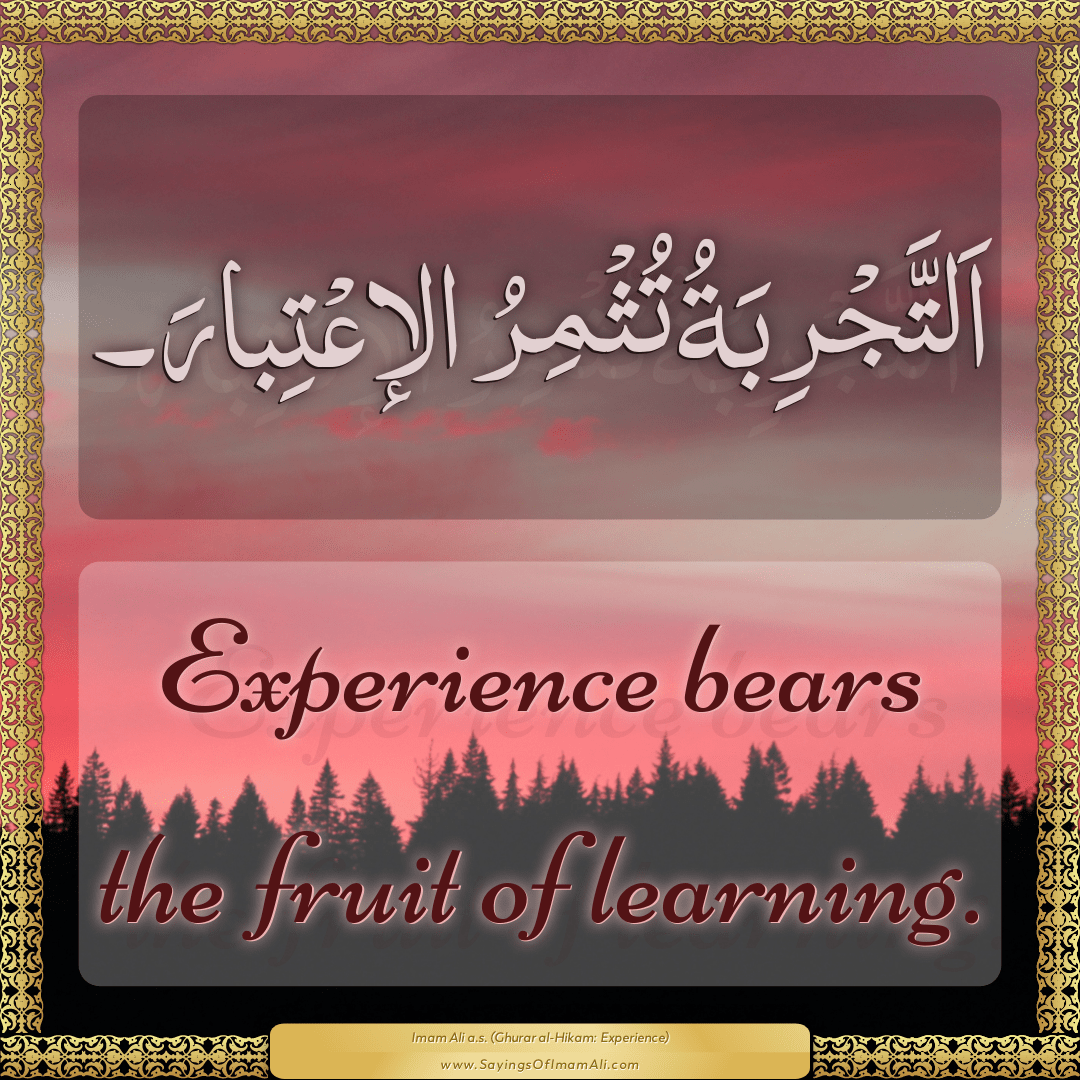 Experience bears the fruit of learning.